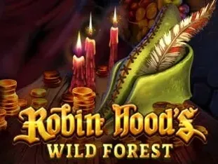 Robin Hoods Wild Forest game thumbnail